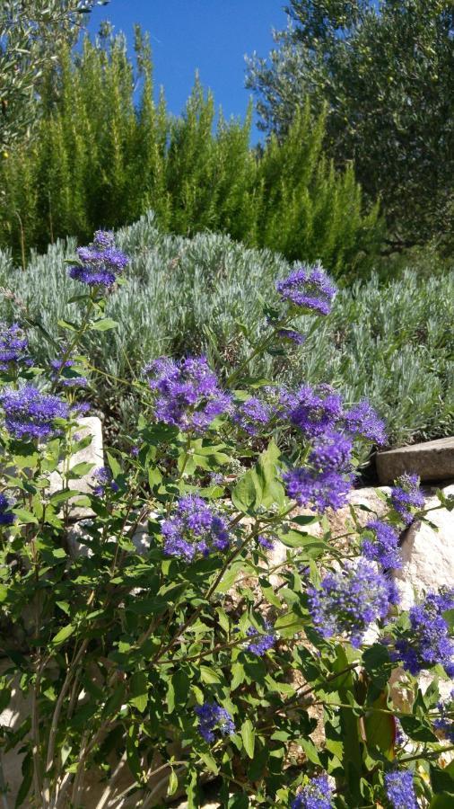 מאקרסקה The Art Of Mediterranean Living מראה חיצוני תמונה
